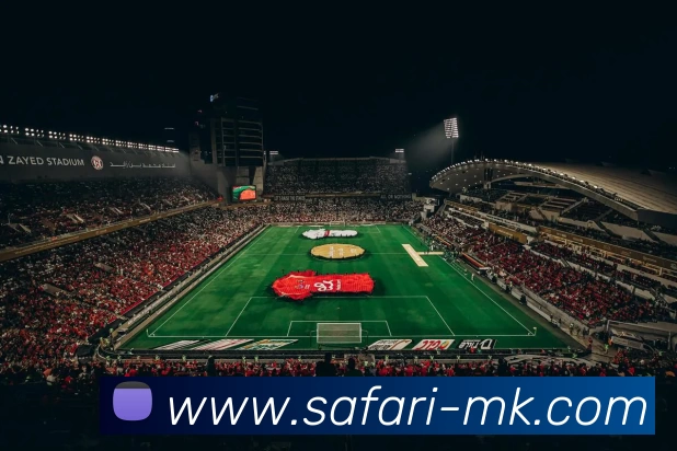 MK体育APP 封面图